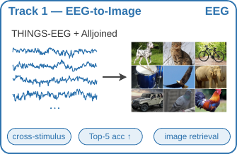 Track 1 EEG-to-IMG: THINGS-EEG and Alljoined data feed an EEG decoder ranked against a held-out image gallery.