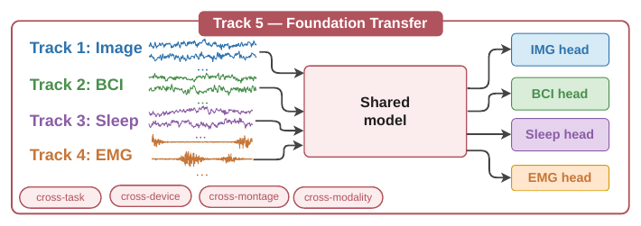 Track 5 Foundation transfer: a single shared biosignal encoder applied across all four task heads on the EEG and EMG tracks.