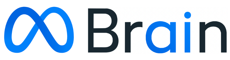 Meta Brain & AI