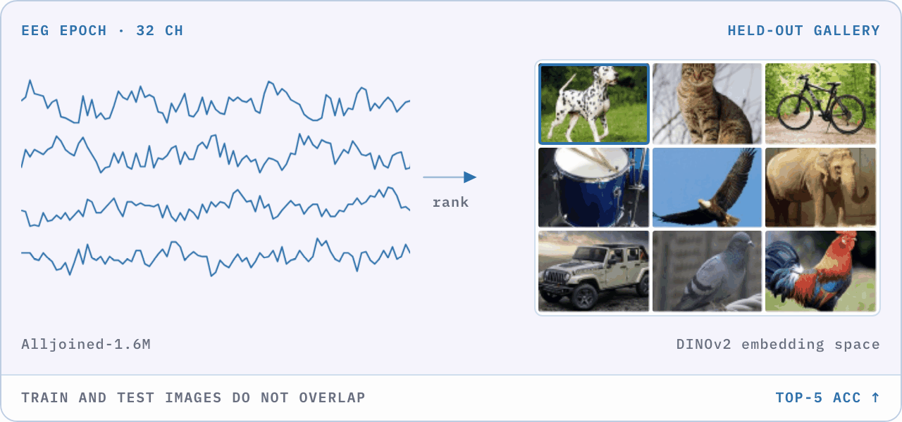 EEG activity matched to a viewed image